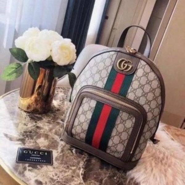 Gucci backpack premium quality with dust cover