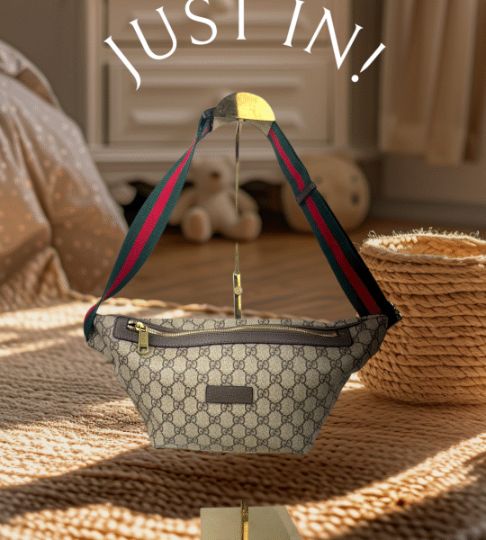 Gucci waist bag with dust cover premium quality