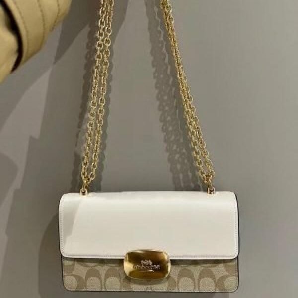 Coach brown Eliza Sling With Original Box