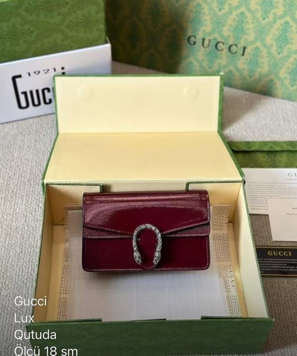 68a4744b0221c0.jpeg Gucci Dionysus Mini With Double Box DustCover - Image 1