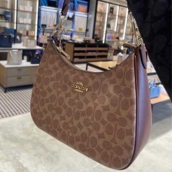 Coach hobo sling bag premium quality with box