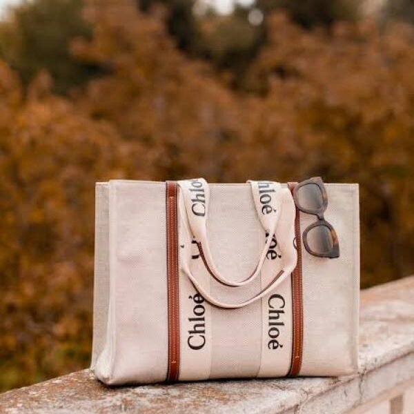 Chloe tote bag premium quality with dust cover
